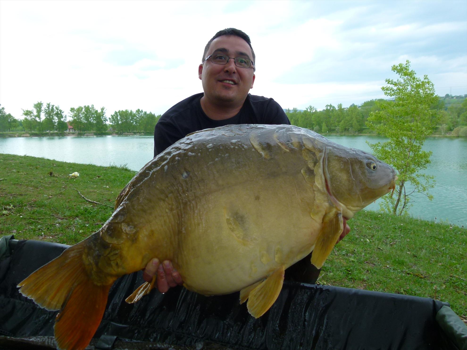 THE BIGS OF 2012 - p1000024.JPG